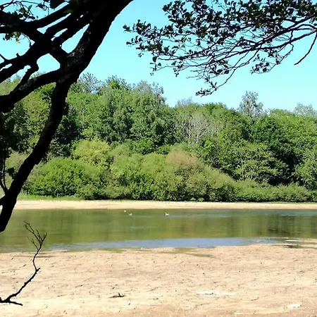 D'apothecarius Entre Namur Et Dinant