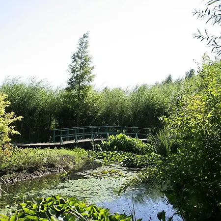 D'apothecarius Entre Namur Et Dinant