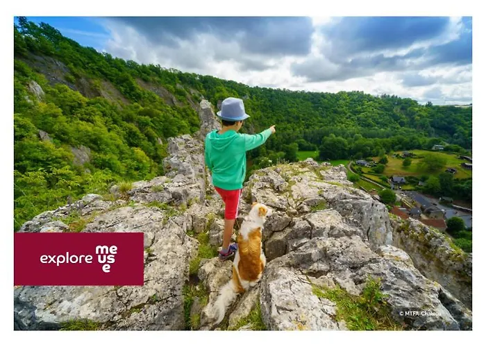 Gites D'Apothecarius Entre Namur Et Dinant Holiday home *